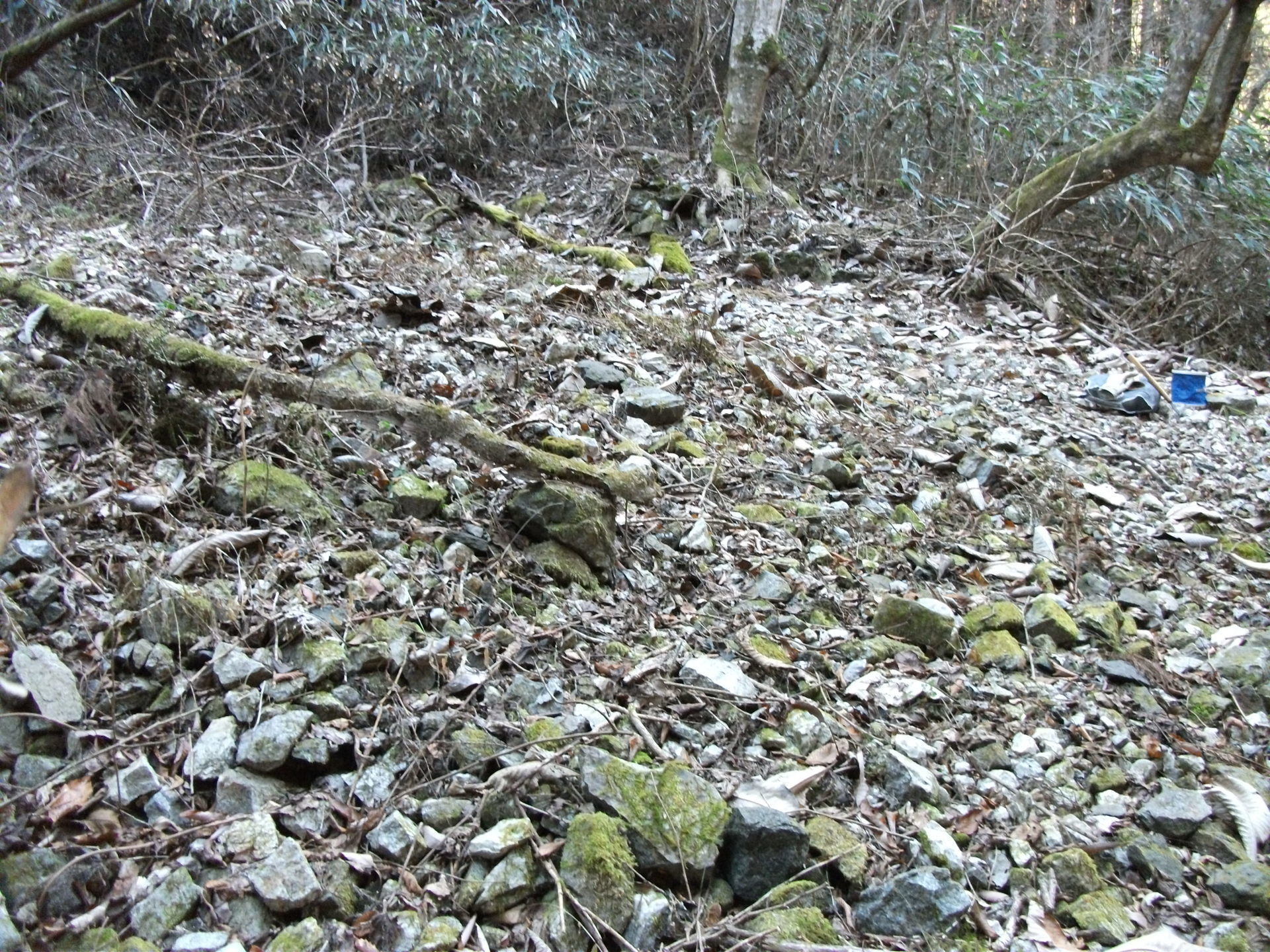 花園鉱業所跡 峠下橋採掘場・鉱山鉱物見学採集ガイドノート: ジージー